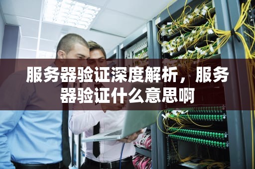 服务器验证深度解析，服务器验证什么意思啊
