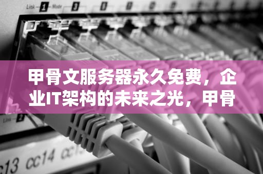 甲骨文服务器永久免费，企业IT架构的未来之光，甲骨文 免费服务器