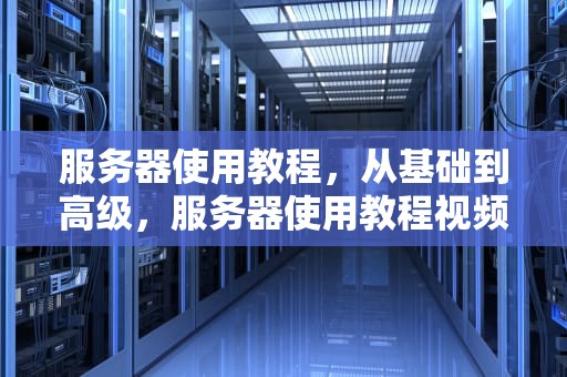 服务器使用教程，从基础到高级，服务器使用教程视频百度网盘
