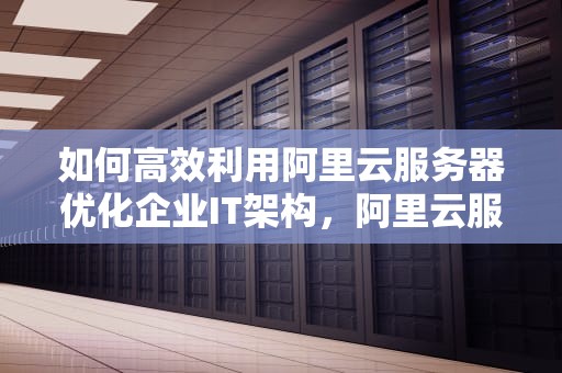 如何高效利用阿里云服务器优化企业IT架构，阿里云服务器使用手册