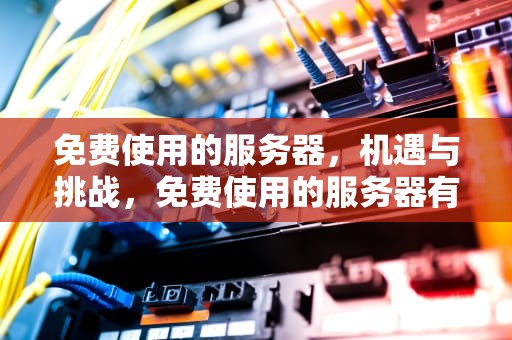 免费使用的服务器，机遇与挑战，免费使用的服务器有哪些
