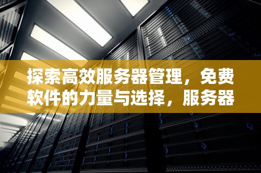 探索高效服务器管理，免费软件的力量与选择，服务器免费使用什么软件好