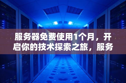 服务器免费使用1个月，开启你的技术探索之旅，服务器免费使用1个月多少钱