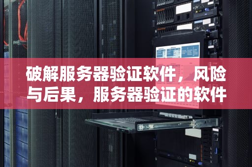 破解服务器验证软件，风险与后果，服务器验证的软件如何破解