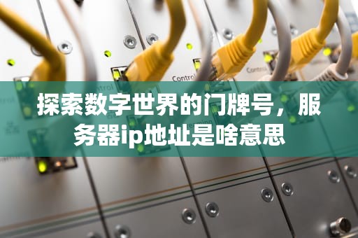 探索数字世界的门牌号，服务器ip地址是啥意思