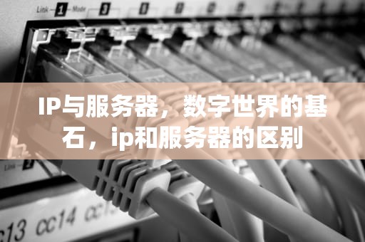 IP与服务器，数字世界的基石，ip和服务器的区别