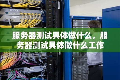 服务器测试具体做什么，服务器测试具体做什么工作