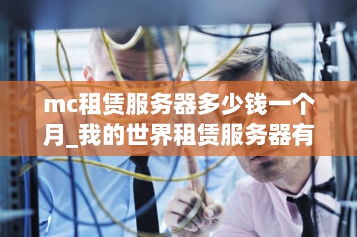 mc租赁服务器多少钱一个月_我的世界租赁服务器有什么好处_MC租赁服务器的费用与选择