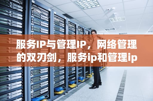 服务IP与管理IP，网络管理的双刃剑，服务ip和管理ip是什么关系
