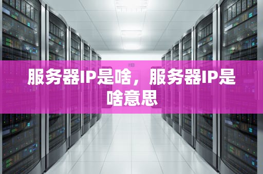 服务器IP是啥，服务器IP是啥意思