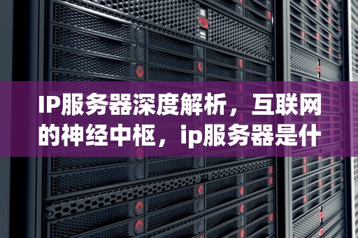 IP服务器深度解析，互联网的神经中枢，ip服务器是什么意思啊