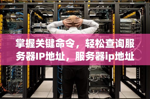 掌握关键命令，轻松查询服务器IP地址，服务器ip地址查询命令有哪些