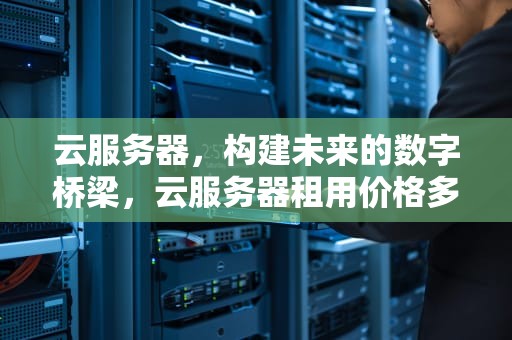 云服务器，构建未来的数字桥梁，云服务器租用价格多少钱一年