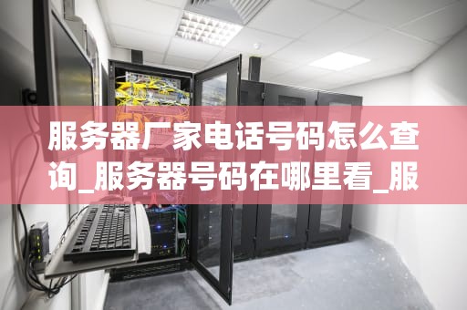 服务器厂家电话号码怎么查询_服务器号码在哪里看_服务器厂家电话号码查询指南