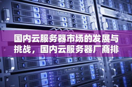 国内云服务器市场的发展与挑战，国内云服务器厂商排名
