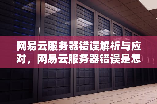 网易云服务器错误解析与应对，网易云服务器错误是怎么回事