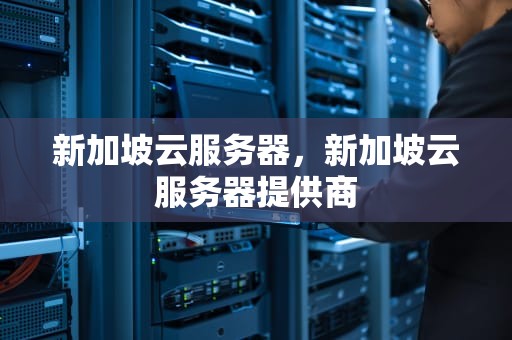 新加坡云服务器，新加坡云服务器提供商