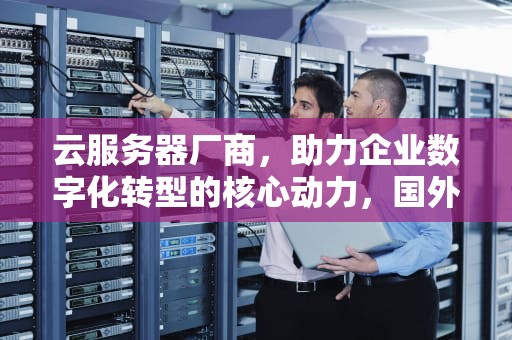 云服务器厂商，助力企业数字化转型的核心动力，国外云服务器厂商