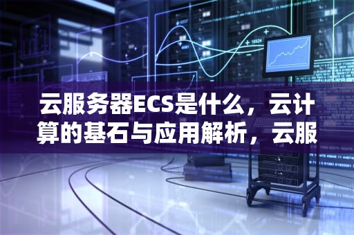 云服务器ECS是什么，云计算的基石与应用解析，云服务器ecs是什么意思