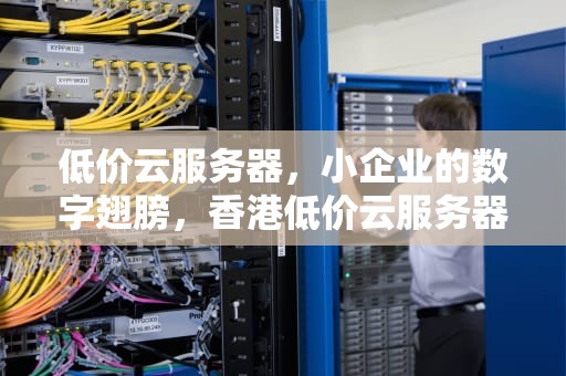 低价云服务器，小企业的数字翅膀，香港低价云服务器
