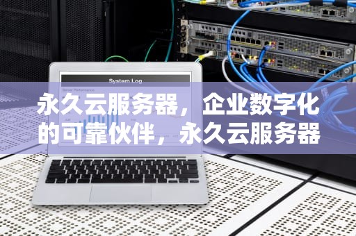 永久云服务器，企业数字化的可靠伙伴，永久云服务器有哪些