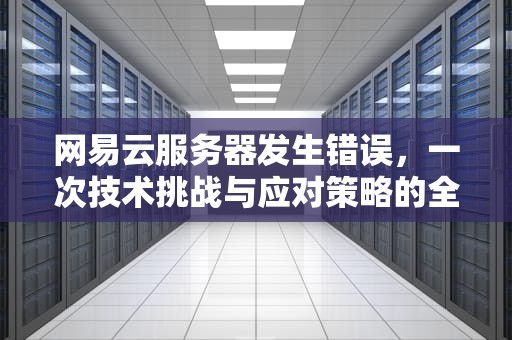 网易云服务器发生错误，一次技术挑战与应对策略的全面剖析，网易云服务器发生错误是什么意思