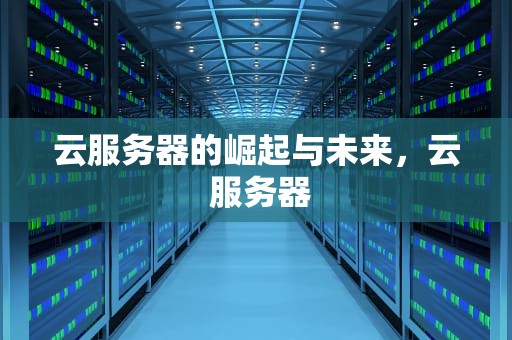 云服务器的崛起与未来，云 服务器