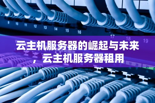 云主机服务器的崛起与未来，云主机服务器租用