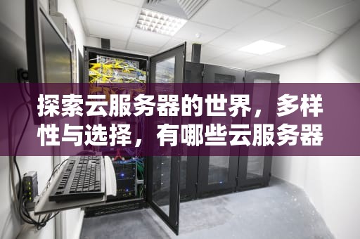 探索云服务器的世界，多样性与选择，有哪些云服务器厂商