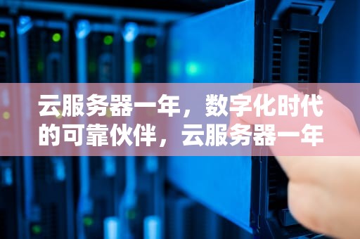 云服务器一年，数字化时代的可靠伙伴，云服务器一年多少钱