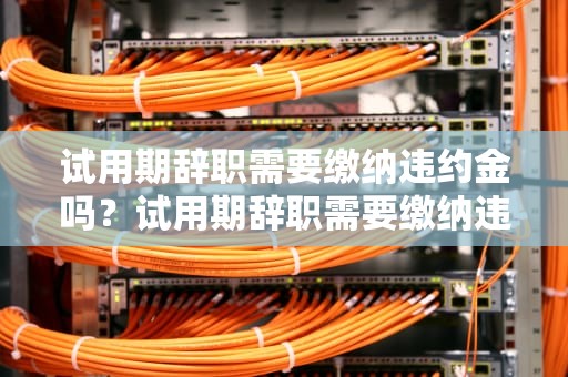 试用期辞职需要缴纳违约金吗？试用期辞职需要缴纳违约金吗合法吗