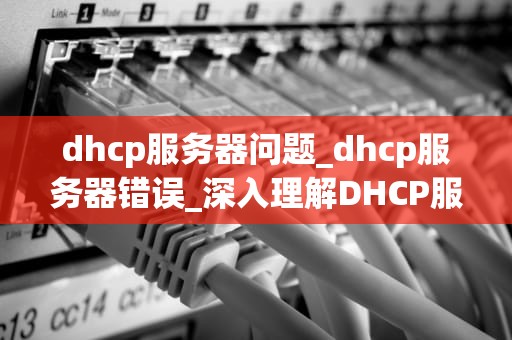 dhcp服务器问题_dhcp服务器错误_深入理解DHCP服务器的工作原理及其问题