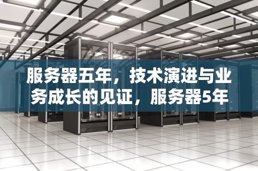 服务器五年，技术演进与业务成长的见证，服务器5年