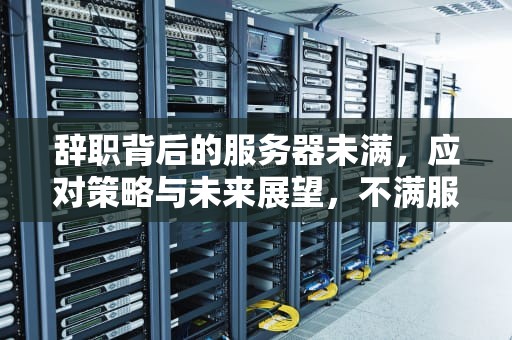 辞职背后的服务器未满，应对策略与未来展望，不满服务器辞职