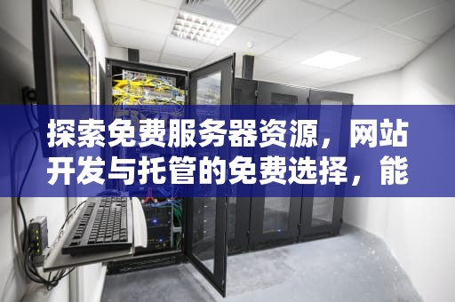 探索免费服务器资源，网站开发与托管的免费选择，能免费用服务器的网站有哪些