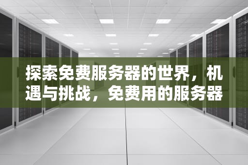 探索免费服务器的世界，机遇与挑战，免费用的服务器有哪些