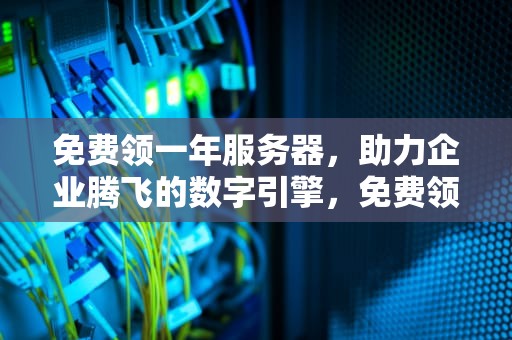免费领一年服务器，助力企业腾飞的数字引擎，免费领一年服务器多少钱