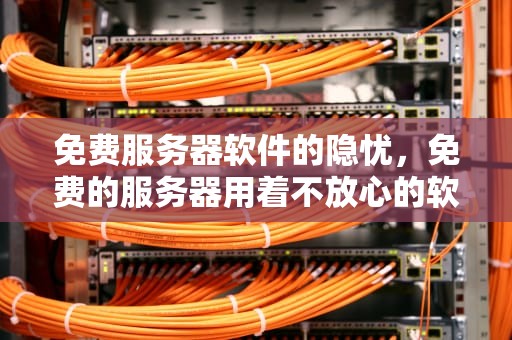 免费服务器软件的隐忧，免费的服务器用着不放心的软件有哪些