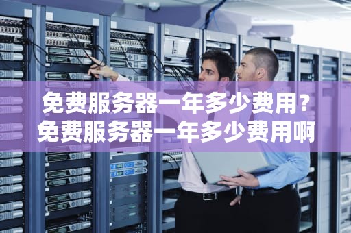 免费服务器一年多少费用？免费服务器一年多少费用啊