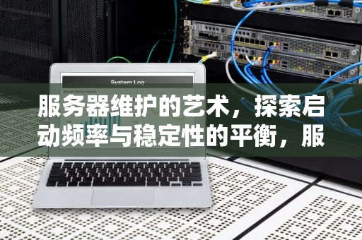 服务器维护的艺术，探索启动频率与稳定性的平衡，服务器多久启动一次正常运行