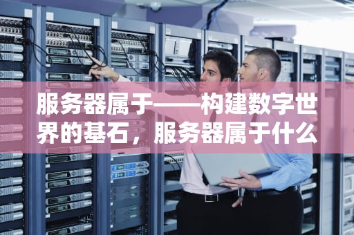 服务器属于——构建数字世界的基石，服务器属于什么设备类型