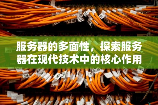 服务器的多面性，探索服务器在现代技术中的核心作用，服务器用来做什么的