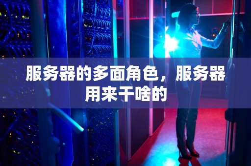 服务器的多面角色，服务器用来干啥的