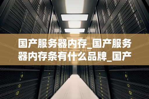 国产服务器内存_国产服务器内存条有什么品牌_国产服务器内存的崛起与发展
