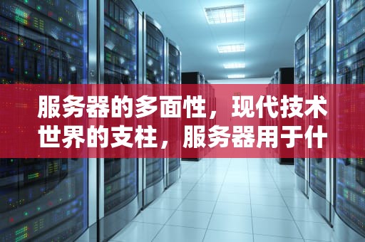 服务器的多面性，现代技术世界的支柱，服务器用于什么行业