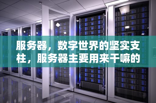 服务器，数字世界的坚实支柱，服务器主要用来干嘛的板怎么样选择