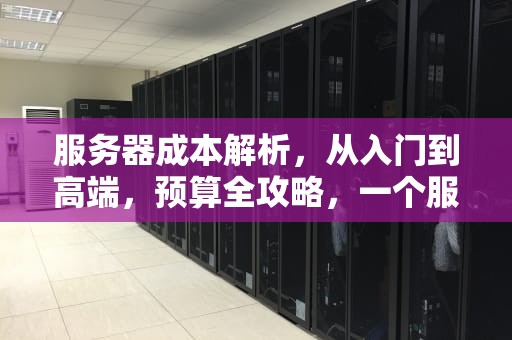 服务器成本解析，从入门到高端，预算全攻略，一个服务器大概需要多少钱