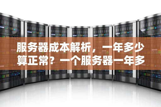 服务器成本解析，一年多少算正常？一个服务器一年多少钱正常啊