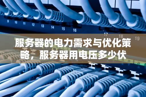 服务器的电力需求与优化策略，服务器用电压多少伏