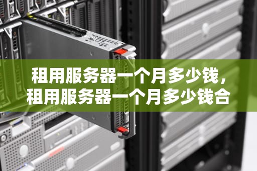租用服务器一个月多少钱，租用服务器一个月多少钱合适